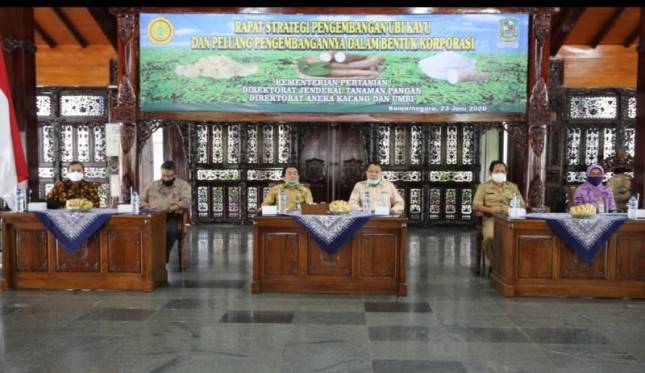 Petani Singkong Siap Tuai Untung, ko Bisa?