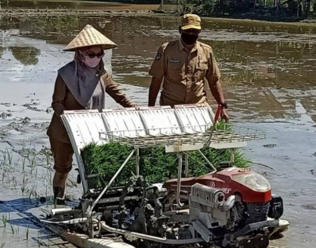 Bupati Cantik Ini Rela Belepotan Demi Tanam Padi