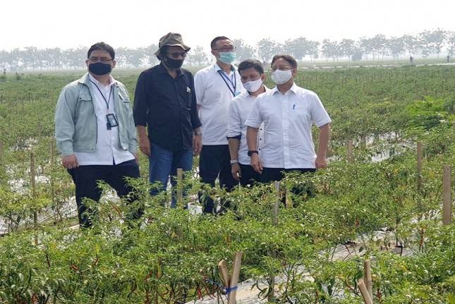Food Estate Melalui Berbagai Kajian dan Sudah Tepat Sasaran