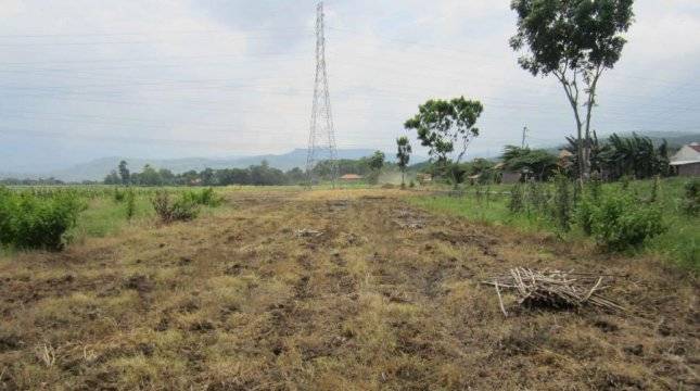 Momentum Angkat Potensi Pertanian Lahan Rawa,  Kesiapan Event HPS di Kalsel