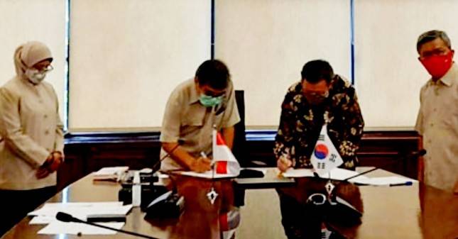 Pemerintah Gandeng Farmasi Korea Lakukan Uji Klinis Terapi Stem Cell  Pasien COVID-19 dengan ARDS