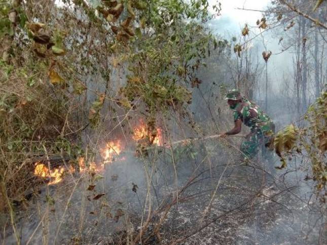 Prajurit Yonif 125/Simbisa Merauke dan Masyarakat Padamkan Kebakaran Lahan