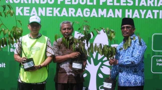 Korindo Lestarikan Keanekaragaman Hayati Dengan Menanam 5000 Pohon