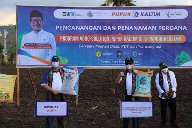 Program Agro Solution Tingkatkan Produktifitas Jagung di Dompu NTB