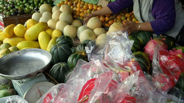 Pembangunan Logistik Pangan Skala Besar Mulai Terwujud