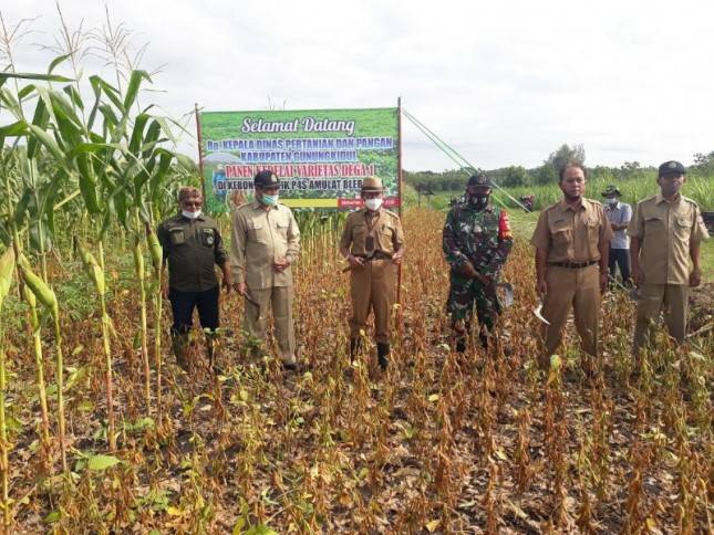Dukung Kementan, Kabupaten Gunungkidul Targetkan Tanam Kedelai Varietas Unggul