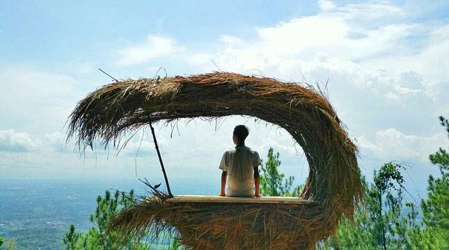 Uniknya Rumah Pohon Marsupilami di Puncak Becici, Bantul