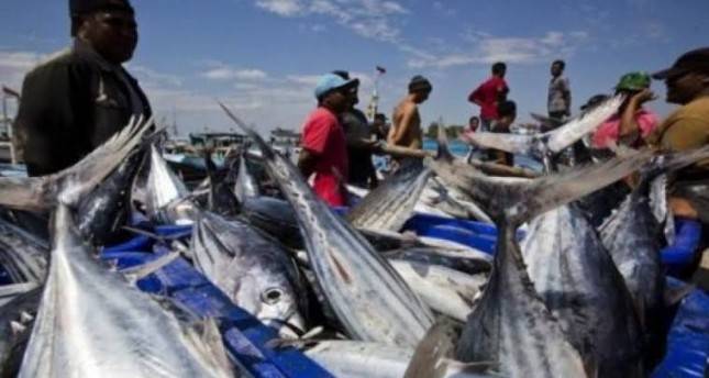 Bidik Kredit Program Rp8,98 Triliun, Ini Rencana Besar Akselerasi Usaha Kelautan dan Perikanan