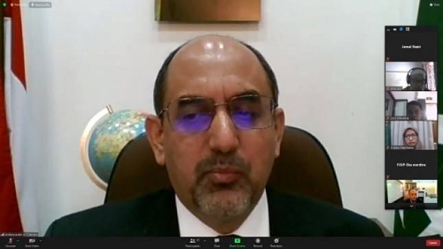 Kedubes Pakistan Gelar Webinar Memperingati 'Hari Solidaritas Kashmir'