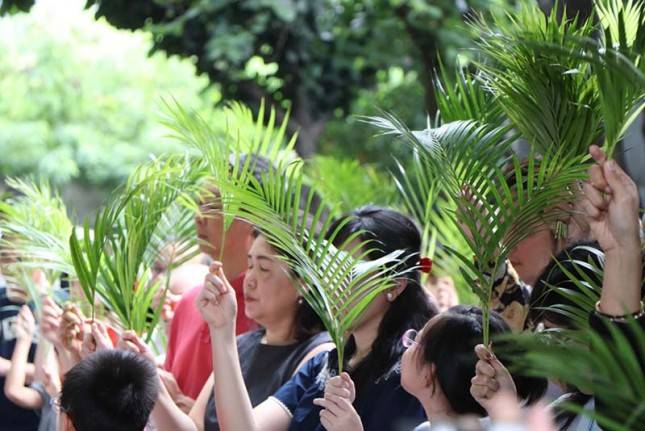 Hari Ini Umat Katolik Sedunia Merayakan Misa Palma, Kenangan akan Kedatangan Yesus di Yerusalem