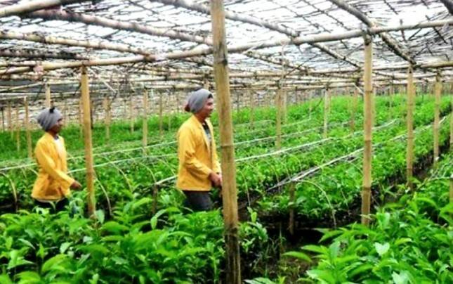 DPR: Anak Milenial Jangan Malu Jadi Petani