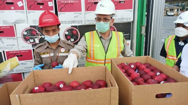 Jalankan Undang-undang! Kementan Lakukan Tindakan Karantina di Border Pastikan Komoditas Pertanian Sehat dan Aman