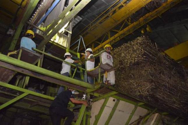 RNI Komitmen Berkontribusi Dukung Pembenahan Industri Gula Nasional