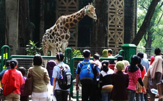 Hari Ini Kebun Binatang Ragunan Tembus 27 Ribu Pengunjung