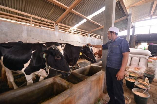 Rayakan Hari UMKM, BUMN Holding Jasa Survei Komitmen Dorong Umkm Naik Kelas