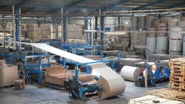 Penjualan ALDO Tumbuh 30% YoY di Semester Pertama 2021