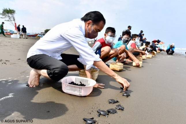 Bersama Anak-Anak Desa Griya Tegalsari, Presiden Jokowi  Melepas Tukik-Tukik di Pantai Kemiren