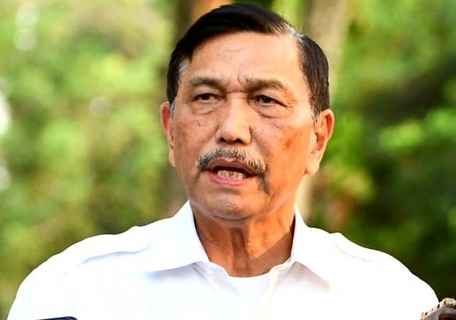 Menko Luhut 'Ramal' Puncak Gelombang Omicron Terjadi Awal Februari, Masyarakat Diminta Jangan Panik!