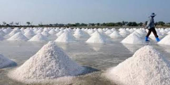 Harga Garam Meroket, Industri di Jabar Terancam Tak Produksi