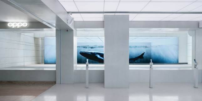 Kekayaan Laut Indonesia Inspirasi OPPO Gallery Hadir dengan Konsep Baru &lsquo;Find Deeper&rsquo;