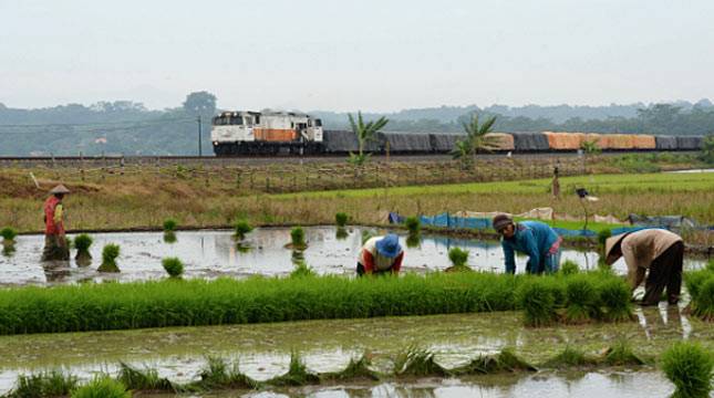 Jalur KA Segera Lancarkan Arus Barang KEK Sei Mangkei