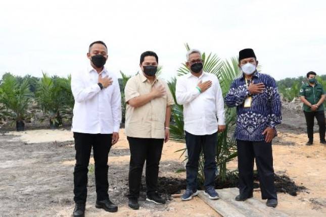 PTPN V & Petani Dukung Peremajaan Sawit Rakyat Melalui Program PTPN Untuk Sawit Rakyat