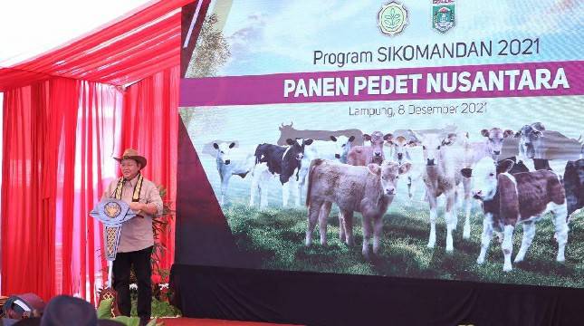Ketua Komisi IV DPR RI Bangga Kementan Panen Pedet