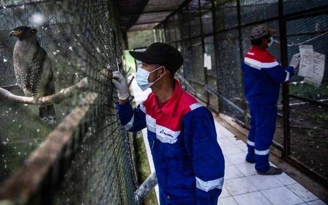 Pertamina Geothermal Perkuat ESG Menuju World Class Green Energy Company