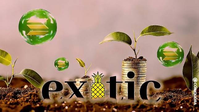 Exotic Markets Kenalkan Dual Currency Note di Blockchain Solana