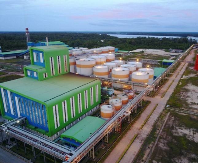 Patuhi Kerangka Kerja RSPO, Citra Borneo Utama Selalu Kedepankan Bisnis Berkelanjutan