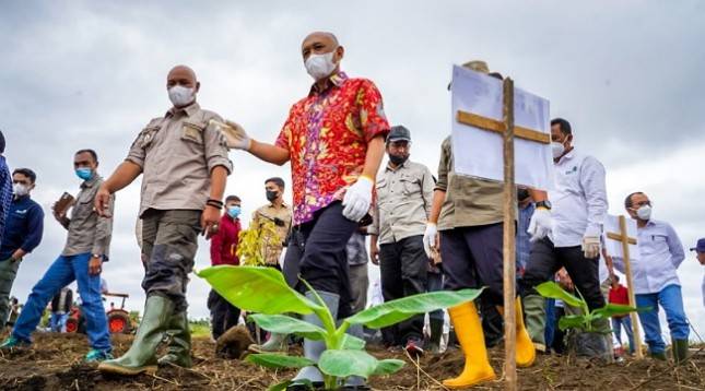 Menteri Teten Dorong Korporatisasi Petani Pisang Cavendis di Bener Meriah Aceh