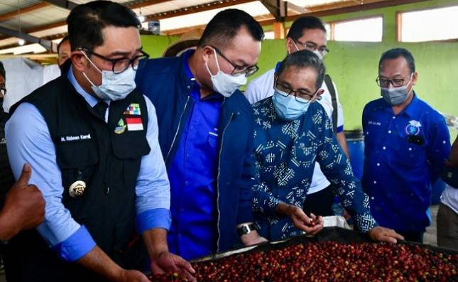 Buktikan Daya Saingnya, Koperasi di Garut Sukses Ekspor Kopi Senilai Rp 4 Miliar ke Belanda