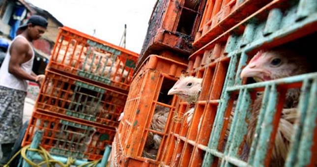 Japfa Comfeed-Perbankan Nasional Berdayakan Peternak Lokal