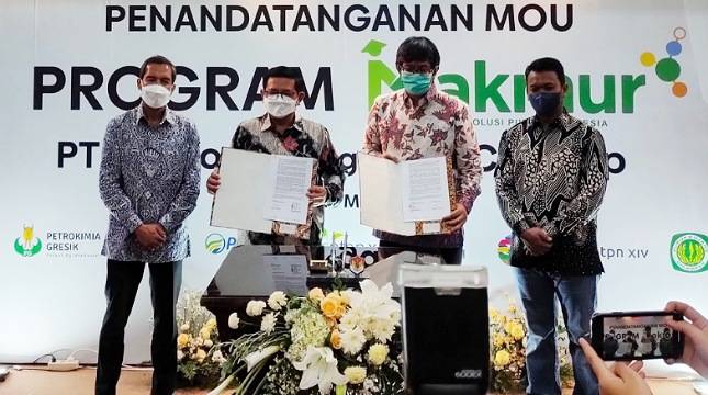 Siap Spin Off, Direktur PTPN XI: Kita Tetap Fokus Persiapan Giling Tahun 2022