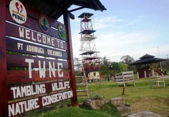 Tambling dan Harimau Sumatera