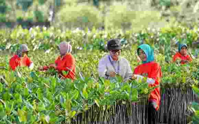 Terapkan Prinsip ESG dalam CSR,  PKT Berhasil Ajak Masyarakat Binaan Bangun Kemandirian Ekonomi