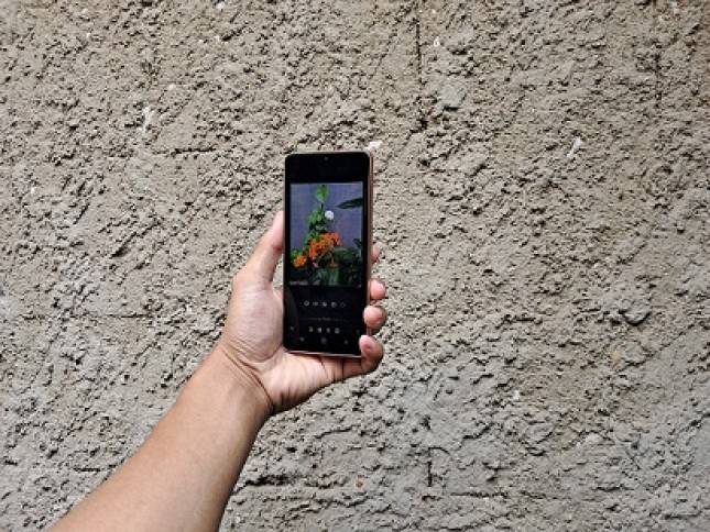 Tiga Cara Samsung Galaxy A33 5G Bantu Anda Kreasikan Foto Super Fun 