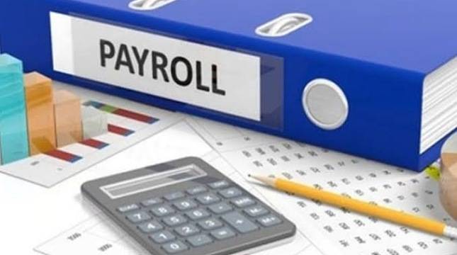 Apa Saja Kriteria Payroll System Indonesia yang Bagus dan Efektif? Berikut Ulasannya
