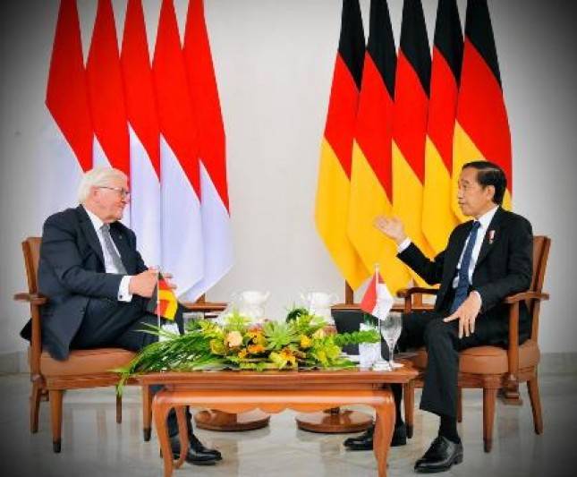 Presiden Jokowi dan Presiden Jerman  Steinmeier Sepakati Sejumlah Kerja Sama Indonesia-Jerman