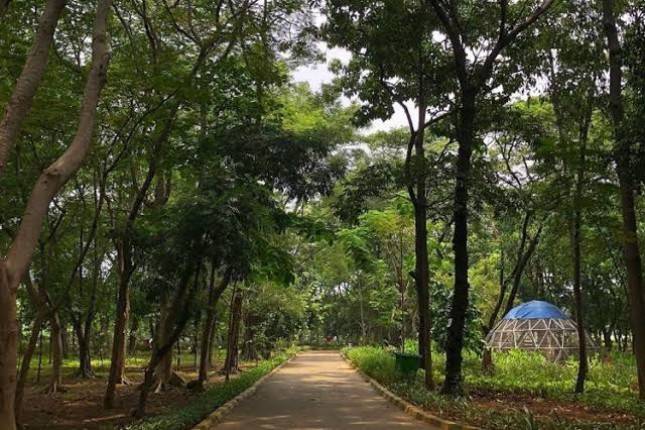 Antisipasi Perubahan Iklim Tak Menentu, Harapan Warga Jakarta  Dorong Penambahan Hutan Kota untuk Serapan Air
