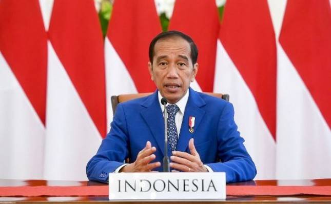 Tiga Langkah Usulan Presiden Jokowi pada High-level Dialogue on Global Development