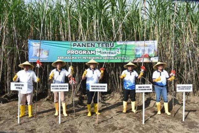 Program Makmur Tingkatkan Produktivitas dan Pendapatan Petami Tebu Kidiri