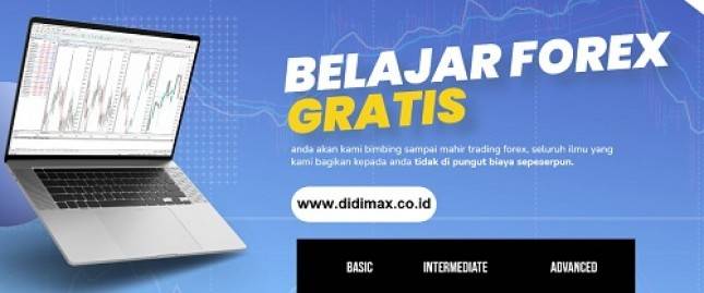 Ingin Belajar Trading Forex? Didimax Berikan 6 Langkah Berikut