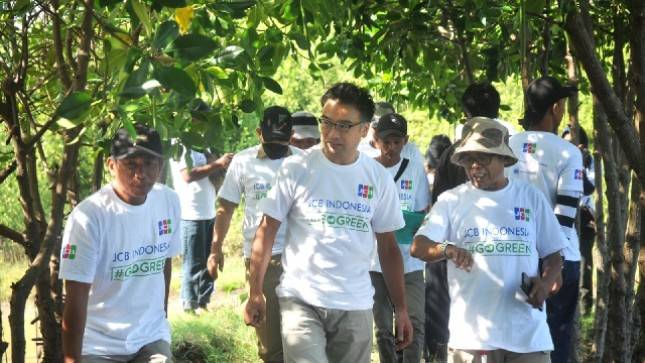 JCB dan OISCA terus melanjutkan Program Penghijauan dan Pembaharuan Bakau 