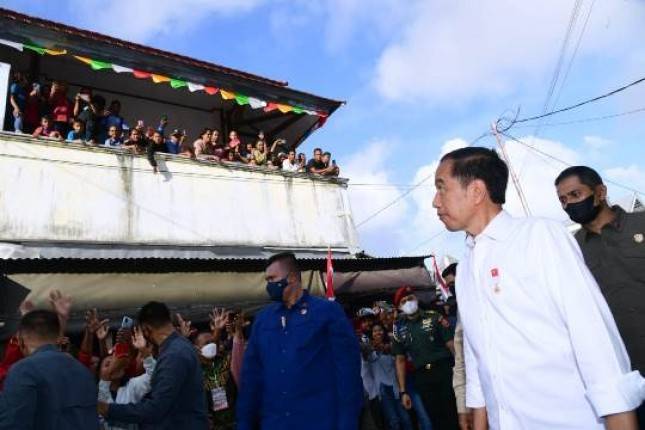Hari Kedua di Provinsi Maluku, Presiden Jokowi Dijadwalkan Bertemu Peternak Kerbau
