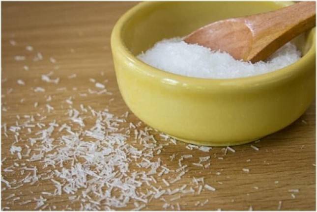 Pentingnya Pola Hidup Sehat dengan Konsumsi Makanan Tanpa MSG