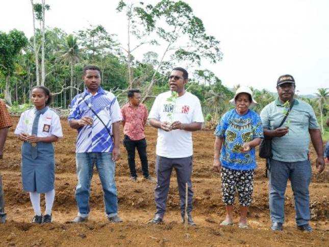 Bupati Biak Numfor, Canangkan Gerakan Menanam Sejuta Pohon Cabe