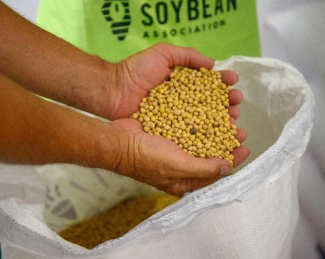 Importir Kedelai Amerika akan Dapatkan Sertifikat SSAP  yang Bisa Dialihkan ke Konsumen