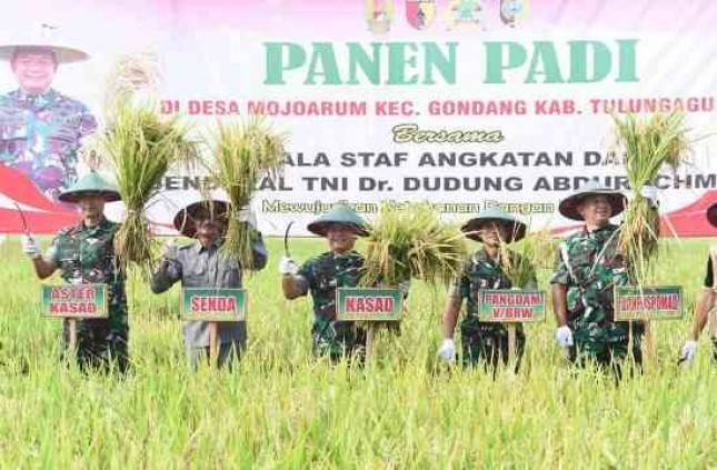 Kasad  Jenderal TNI Dudung Abdurachman Panen Raya Padi dan Serahkan Alsintan Kepada Petani