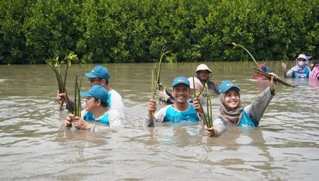 Bekasi Fajar Industrial Estate Tanam 20.500 Pohon Mangrove